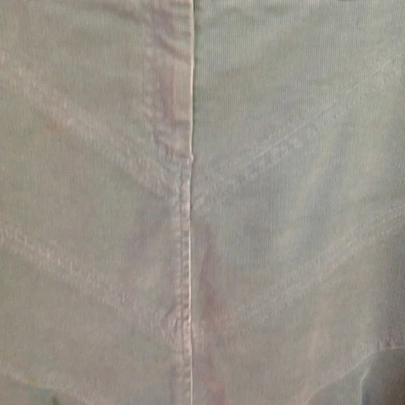 COPY - SITWELL Anthropologie corduroy skirt sage sz 2 - Picture 7 of 7